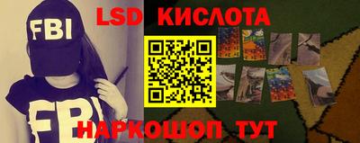 прущие грибы Комсомольск-на-Амуре